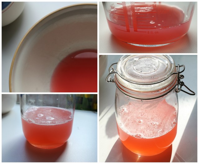 Rhubarb Cordial