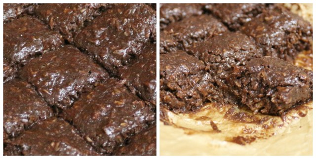 Chocolate Coconut Fudge