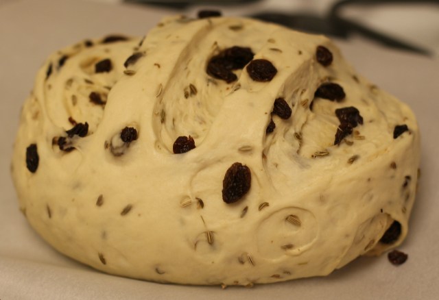 Raisin and Fennel bread - pre baking