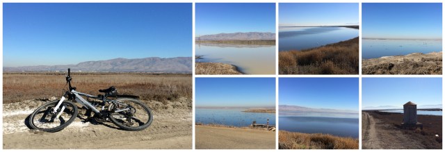 Alviso