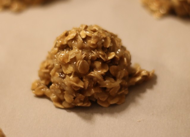 Banana, Coconut, and Oat Cookie mixture