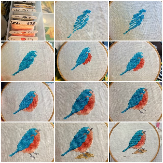 Bluebird Progress