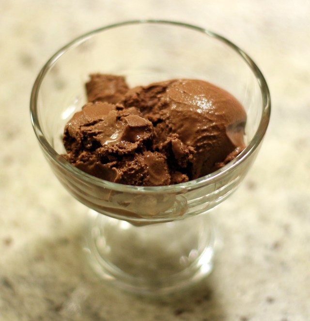 Double Chocolate and Coconut Chunk Icecream