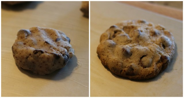 Hazelnut Chocolate Chip Cookies