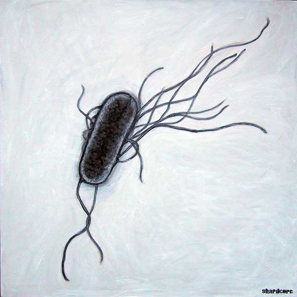 Artist's rendition of E.coli