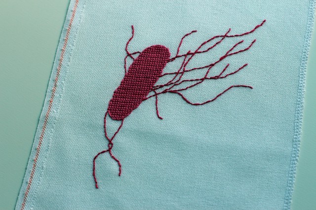 E. coli Cross Stitch