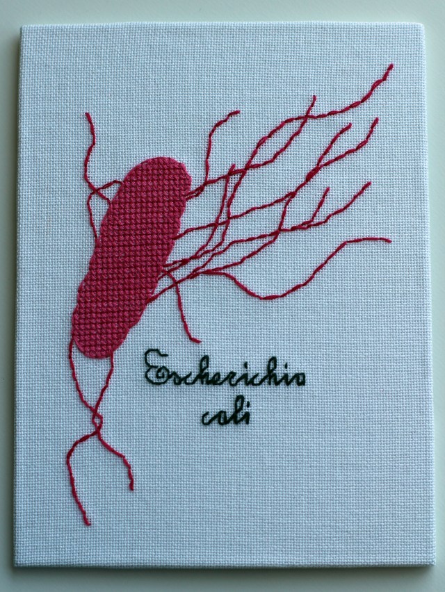 E. coli Cross Stitch