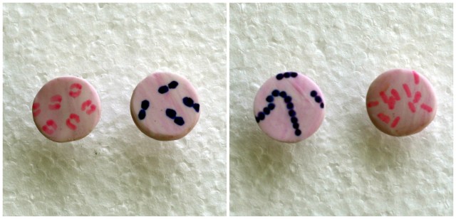 Mix and Match Gram Stain Earrings