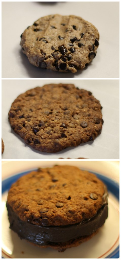 Coconut Chocolate Icecream Cookie Sandwich