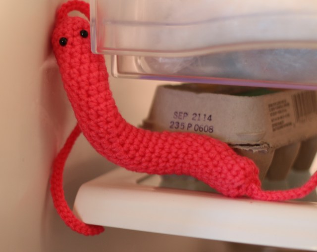 Crochet Campylobacter