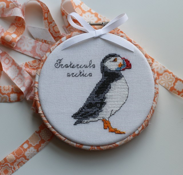 Puffin: Fratercula arctica