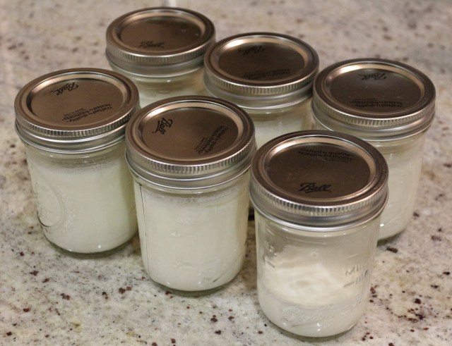 Yogurt Jars